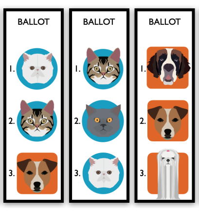 A photo of What is ranked choice voting?